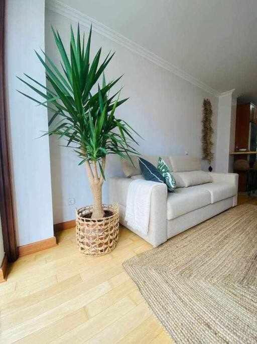 Corrida 37 Apartamento Apartment กิฮอน ภายนอก รูปภาพ